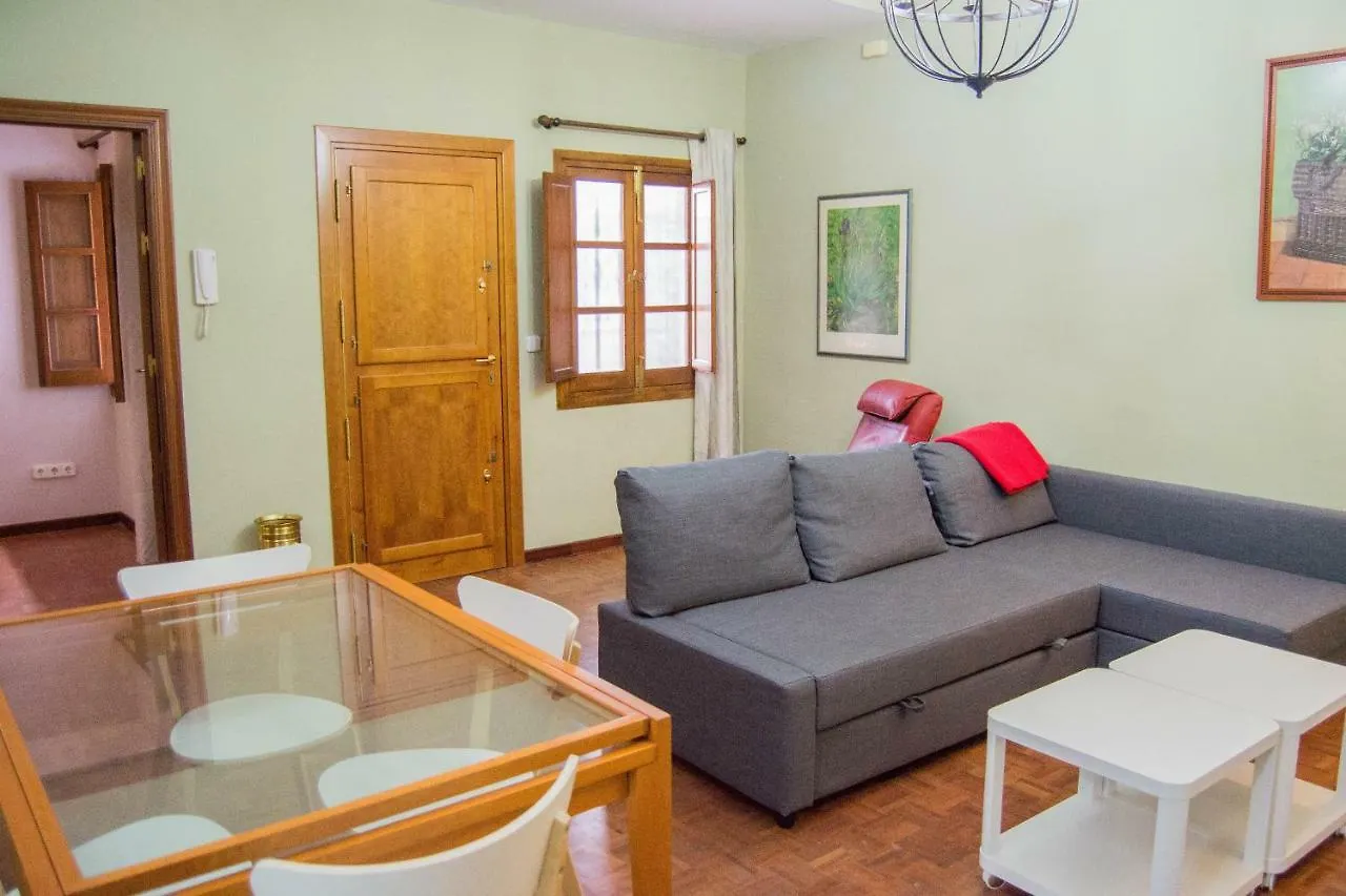 Full Equipped Apartment In Center Seville