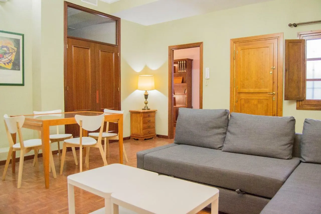 Full Equipped Apartment In Center Seville